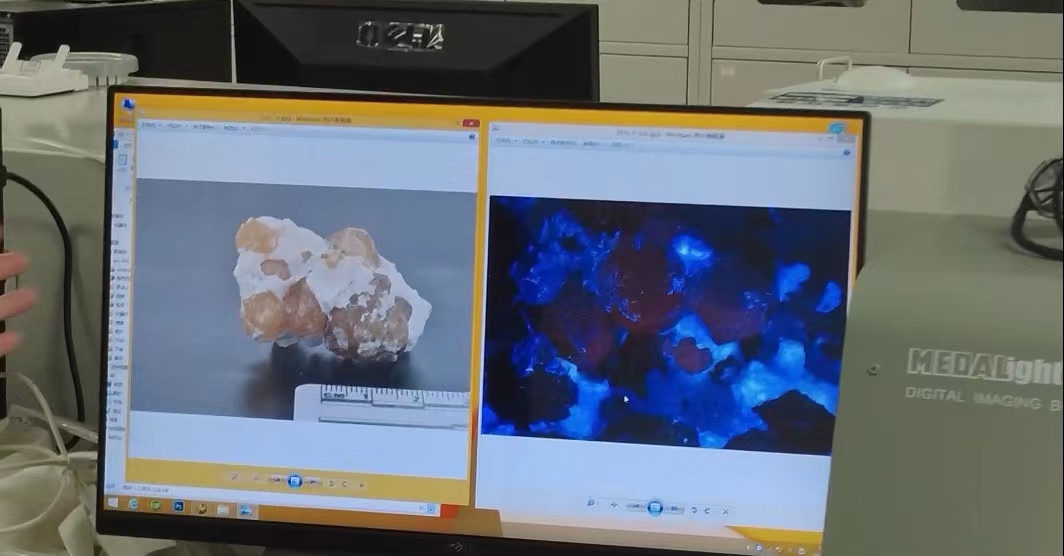澳门彩票有限公司